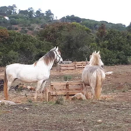 Caval'emoçao Casa de Férias *