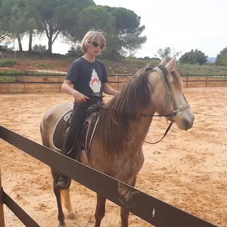 Caval'emoçao *