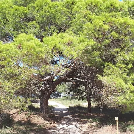 Caval'emoçao